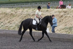 ISIS Dressage Challenge 2008